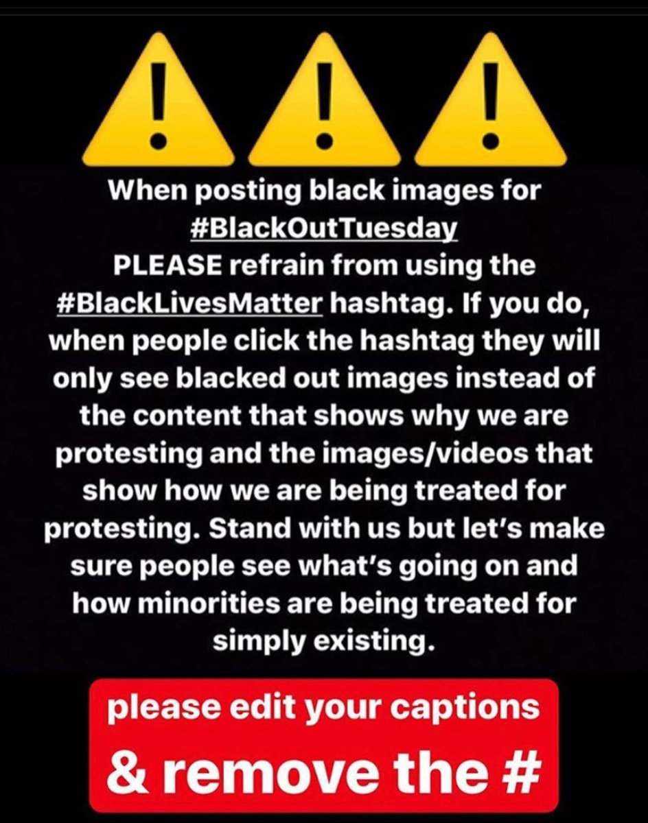 Chive On Chicago™ tweet media