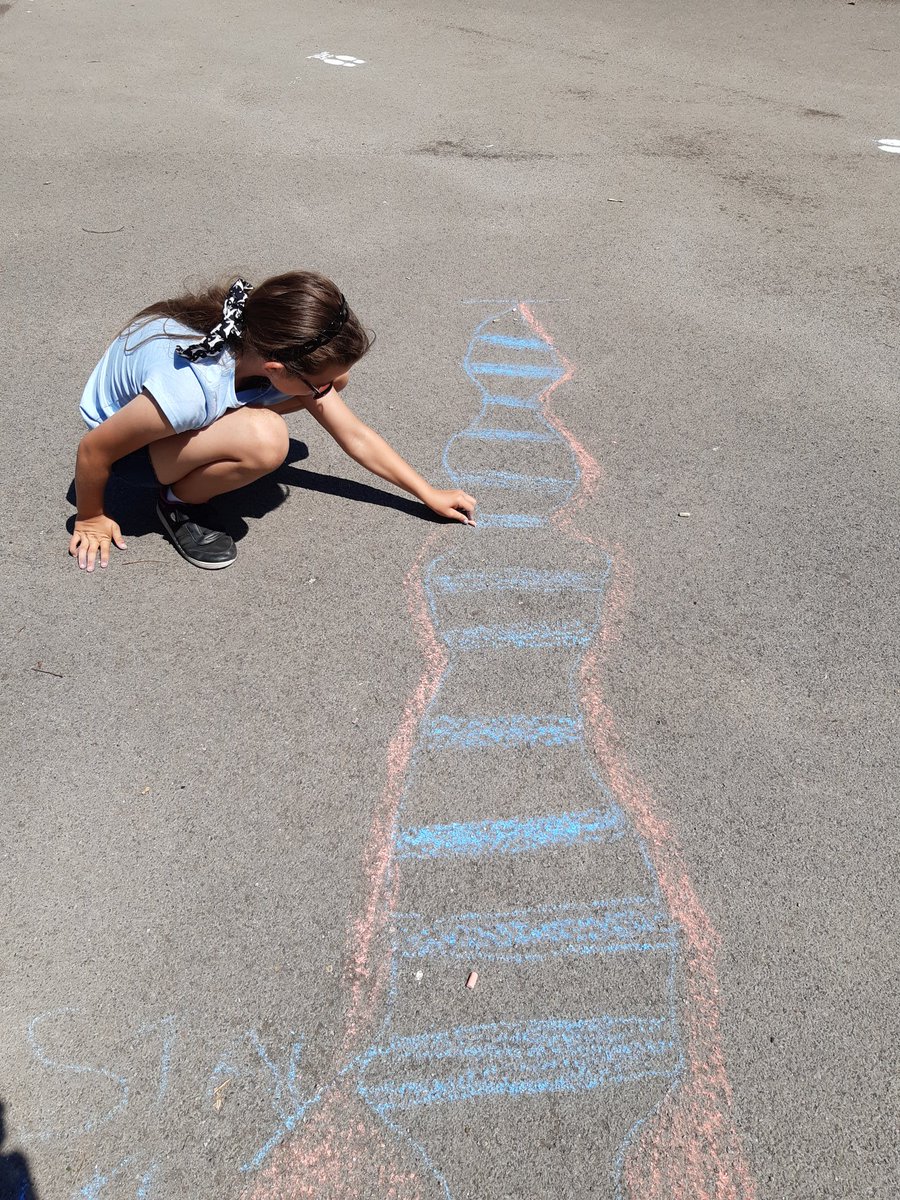Fun in the sun, creating trim trails. Happy confident children, learning to learn! <a href="/CastleBatch/">Castle Batch School</a> @DaddsLisa <a href="/NevilleColes/">NC</a>