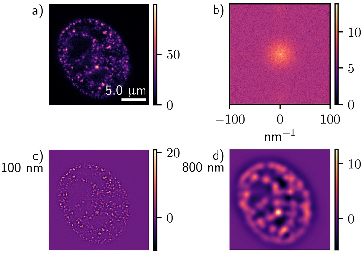 An Editors' Pick via #OSA_OpEx: Multi-scale sensorless adaptive optics: application to stimulated emission depletion microscopy ow.ly/CgBX50zVOT6 #AberrationCorrection #WaveletAnalysis <a href="/ProfMartinJBoo1/">Prof Martin J Booth</a> <a href="/UniofOxford/">University of Oxford</a>