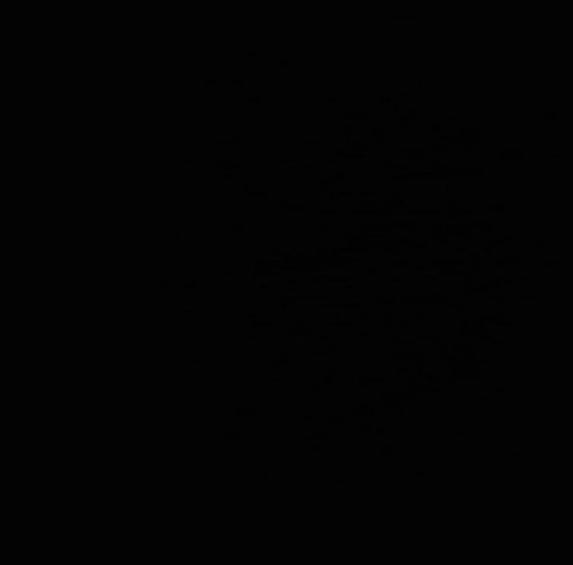 Wilfried NANCY (@wilfriednancy) on Twitter photo 