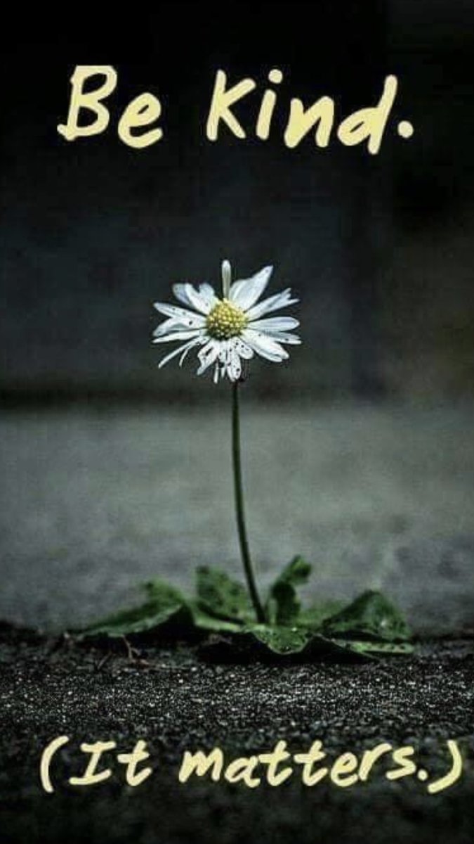 Be Kind Wildcats 💚💚💚💚