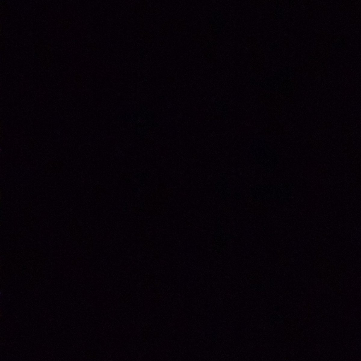 Mallory Gemus tweet media