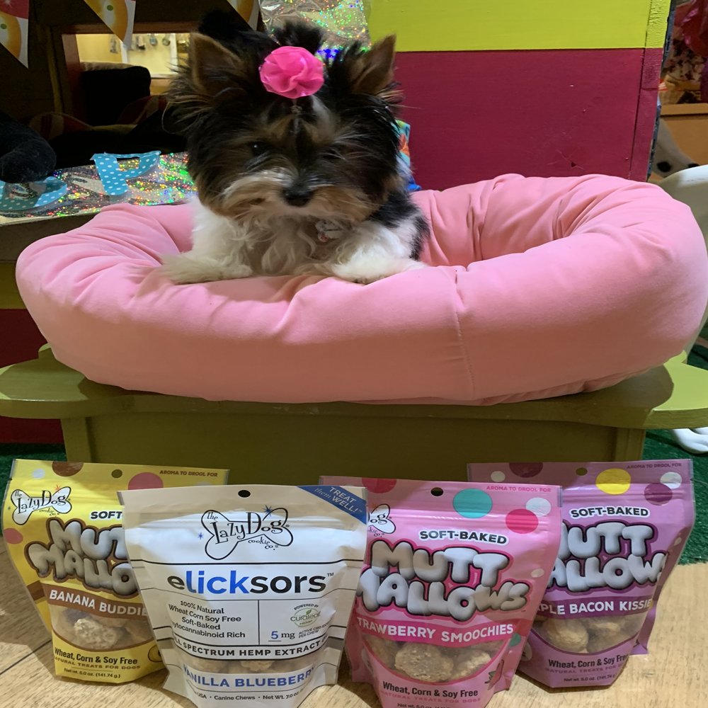 Fergie wants to show you some of her favorite treats, including the new eLICKsor treats by Lazy Dog that are infused with CBD. Give us a call or order online to try them today! 😍🐶