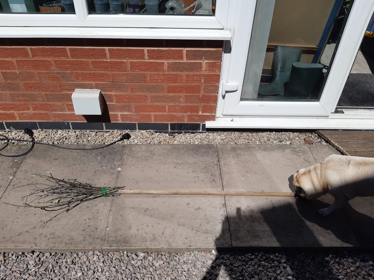 AnitaOw32589027's tweet image. #TheLearningProject