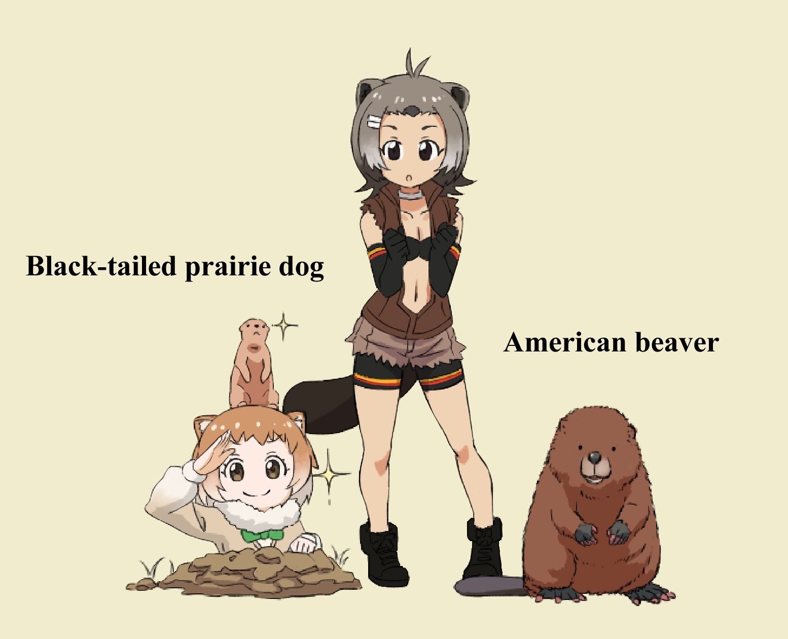 山口よしみ けものフレンズ5話より オグロプレーリードッグとアメリカビーバーです 個人的にも好きなコンビだったりしますね けものフレンズ フレンズ化前と並べてみました T Co Z3bc6fxab6 Twitter