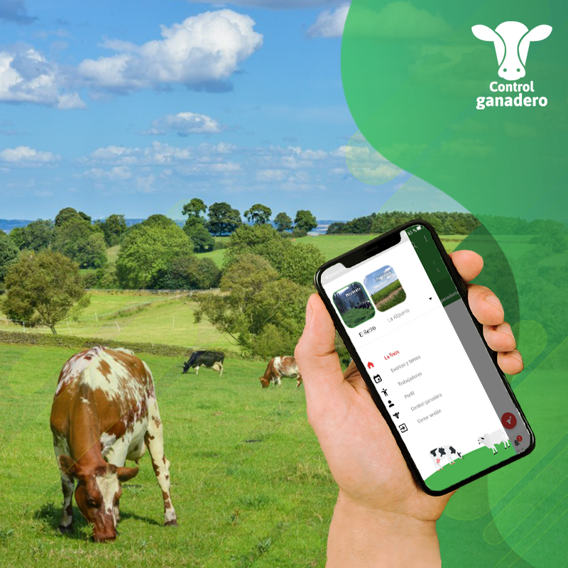 ControlGanadero's tweet photo. ¿Qué finca vas a administrar hoy desde tu celular?⁣
⁣
Llévate un panorama general en segundos. O revisa detalladamente qué tal estuvo el ordeño del día.⁣
⁣
Todo desde tu celular.⁣
⁣
Descarga gratis la tecnología que usan más de 50,000 ganaderos en https://t.co/4p1STHQgYQ  https://t.co/BFUOxCo7aP