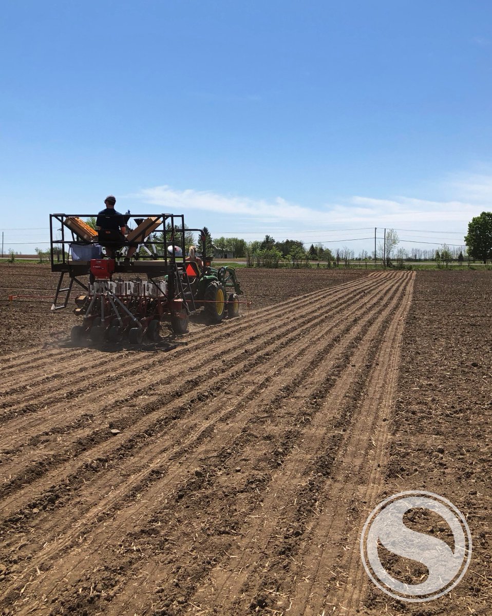 Sevita_Int's tweet image. Sevita Genetics planted a demonstration plot in Winchester, ON, and a week later they’ve emerged and are ready to grow! Stay tuned to find out when and how you can visit the plot to see how our varieties perform in Eastern Ontario!
#SoybeanPlot #plant2020 #OntAg