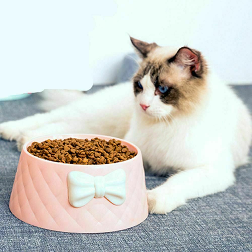 petsstore2's tweet image. ift.tt/3eNuAaL