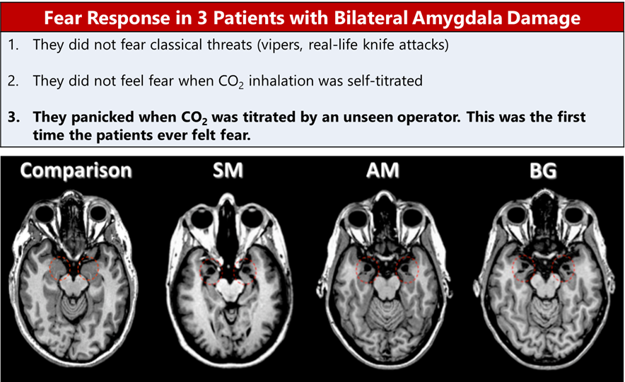 8 – These patients were studied in the lab. When they breathed CO2 provided by an external unseen operator, all patients experienced fear panic for the first time.  https://www.nature.com/articles/nn.3323