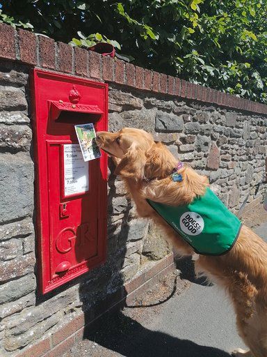 dementiadog's tweet image. It’s important to stay in touch &amp;amp; many people have moved online. Sometimes a good old fashioned postcard is the best way to stay in contact and a photo of a familiar friend is always welcome. Georgie &amp;amp; Billy know this &amp;amp; are posting cards #DementiaAwareness @alzscot @DogsForGoodUK