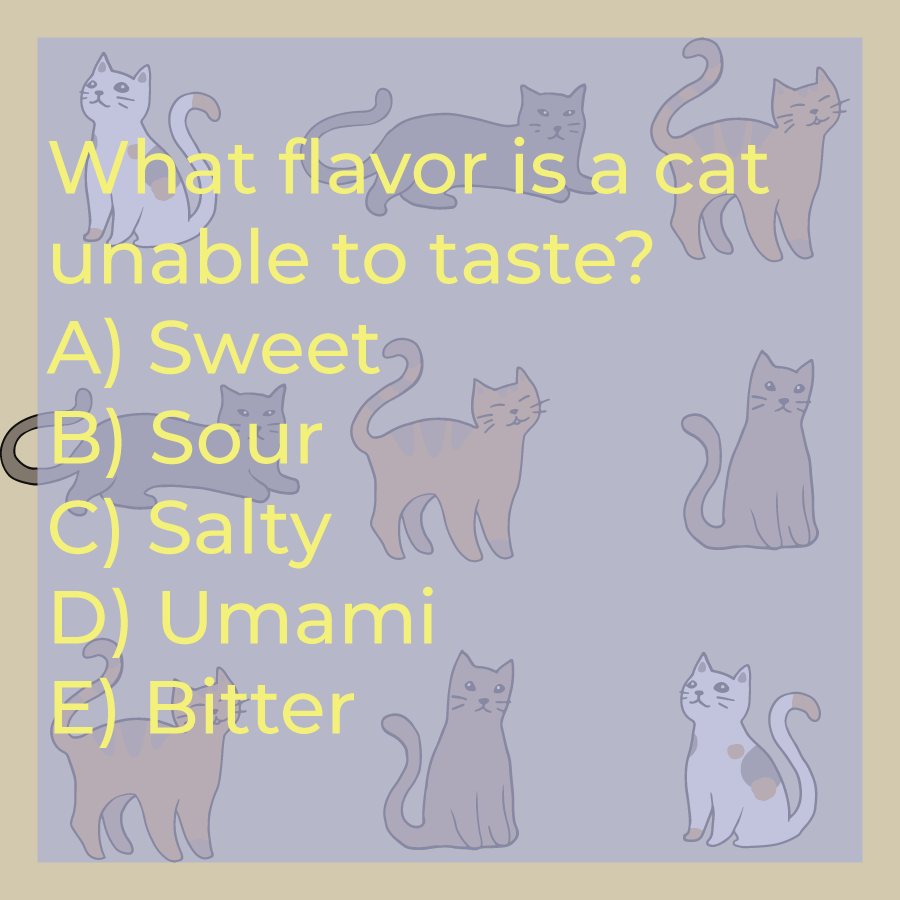 whimsygoat tweet media