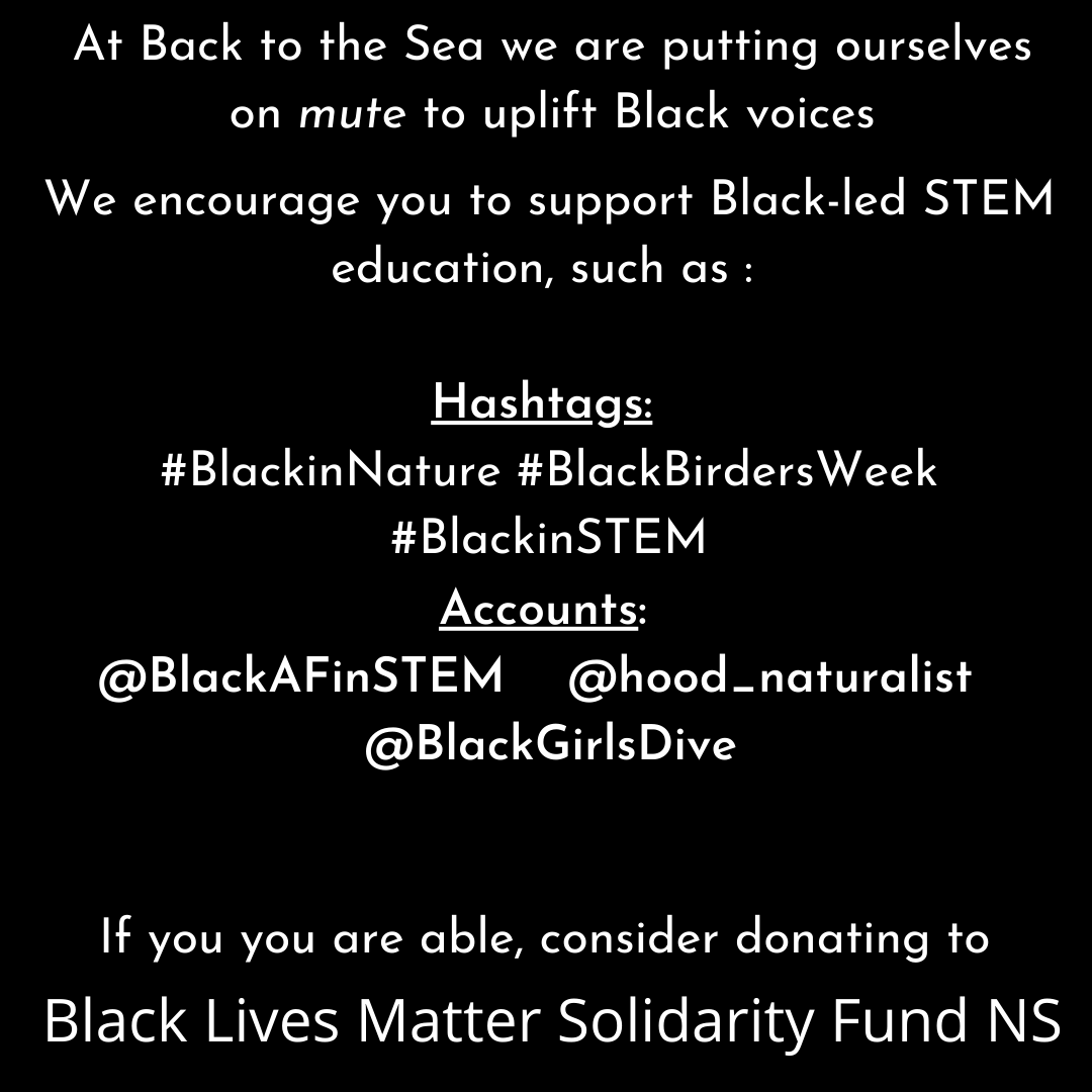 BacktotheSea_NS's tweet photo. We encourage you to interact with STEM content from Black-led initiatives such as those listed below, and will continue to highlight Black creators.
The Black Lives Matter Solidarity Fund NS can be found at https://t.co/cbQLGlk72f

#blackouttuesday https://t.co/semQipRU4w
