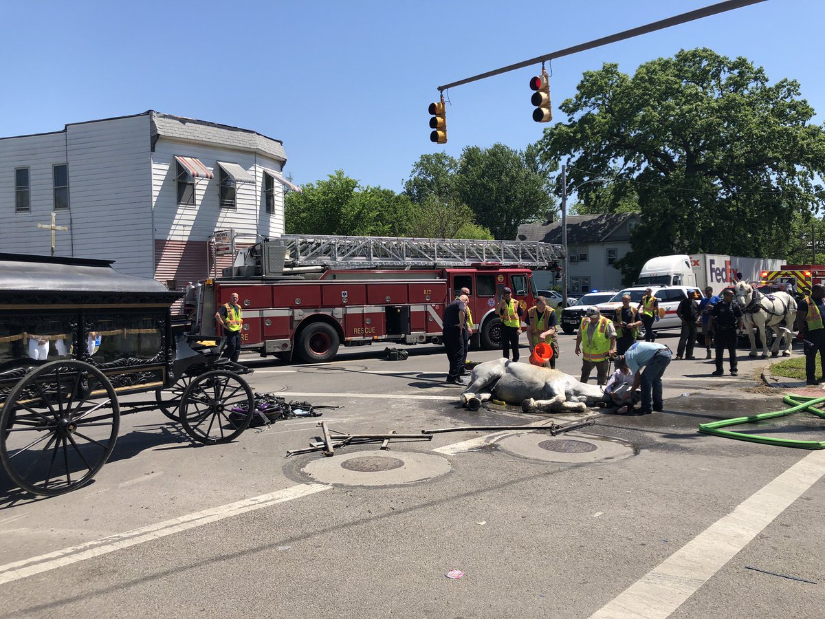 Toledo media partners <a href="/WTOL11Toledo/">WTOL 11</a> <a href="/13abc/">13 Action News</a> <a href="/toledonews/">The Blade</a> <a href="/NBC24WNWO/">NBC 24</a> Toledo Fire is looking for a large bet to assist us with direction in lifting this horse. Call TFRD PIO at 419-392-4550 if you can help. Please retweet