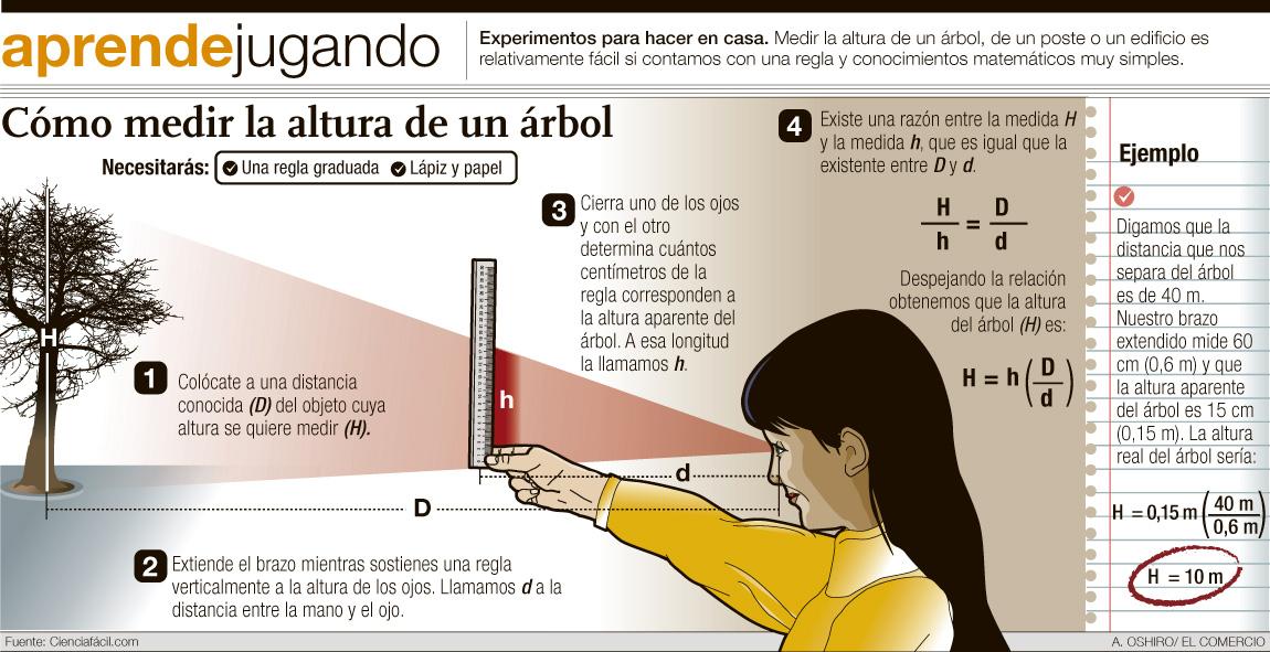 Cuanto suele durar la regla Cuanto suele durar la regla
