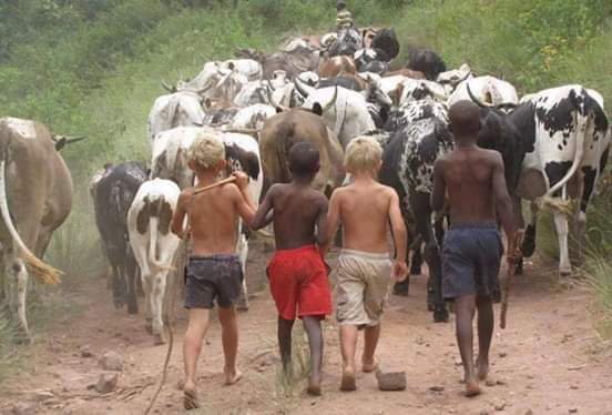 LMORUAKGOMO's tweet image. No to racism