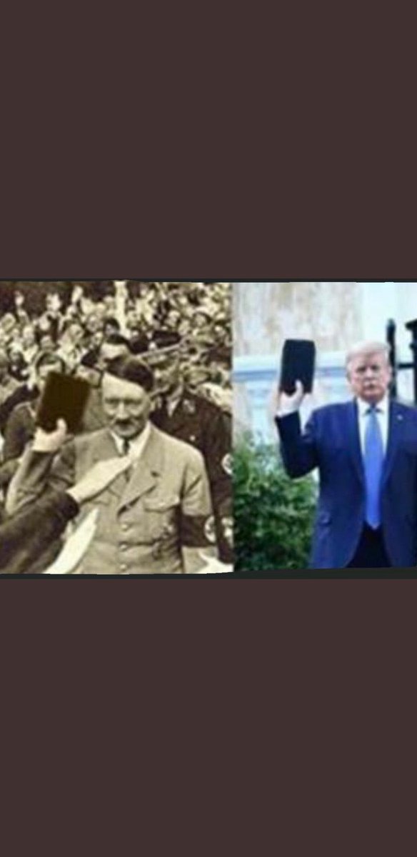 ana banana tweet media