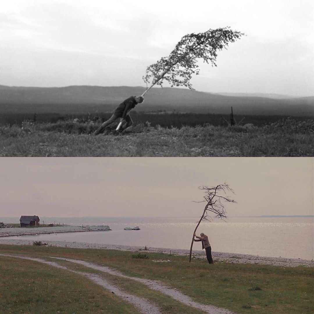 SensCritique's tweet photo. Côte à côte : "La Source" [Ingmar Bergman, 1960] &amp; "Le Sacrifice [Andreï Tarkovski, 1986] 🌾 https://t.co/g6Jc5PhVA3