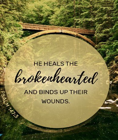 Wildcat Basketball 🐾🏀 (@gbbwca) on Twitter photo 