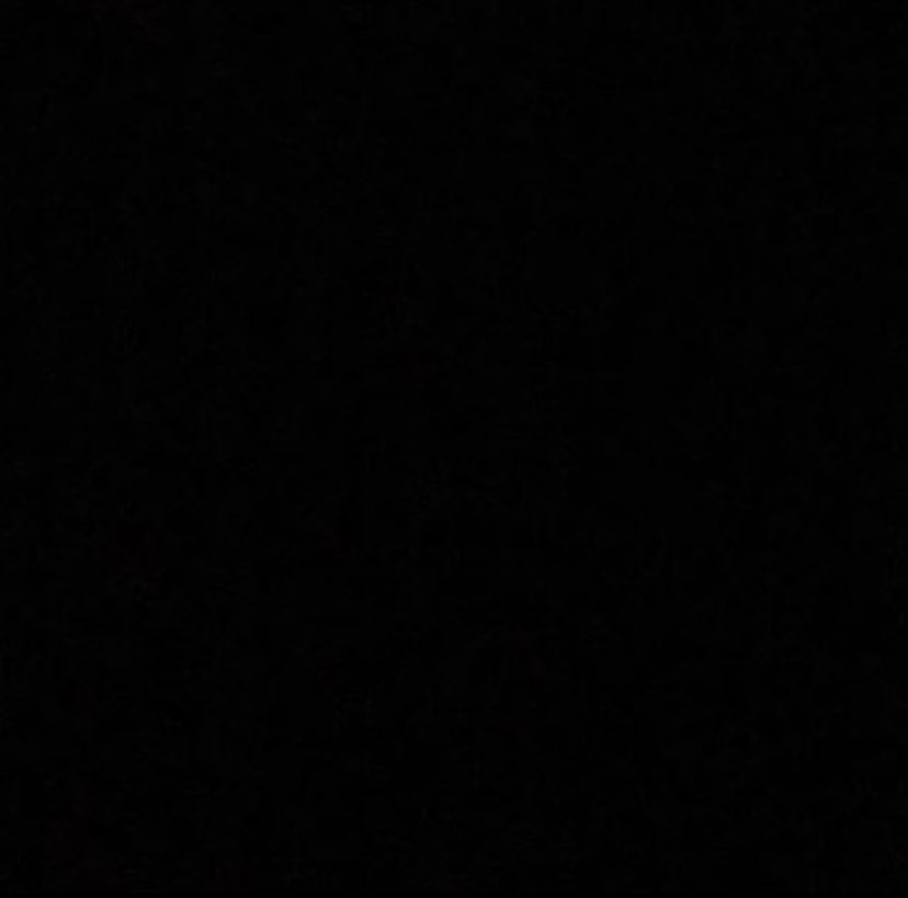 Seattle Kraken tweet media