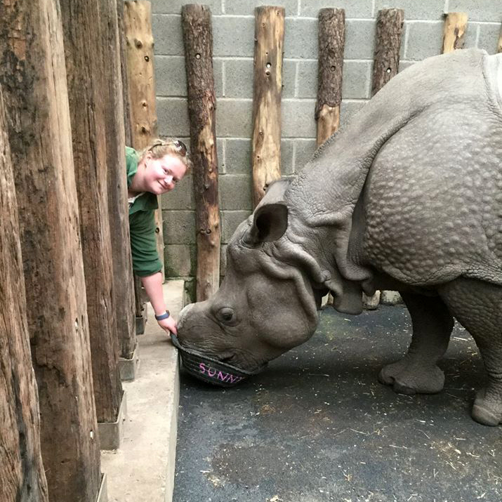 West Midlands Safari Park tweet media