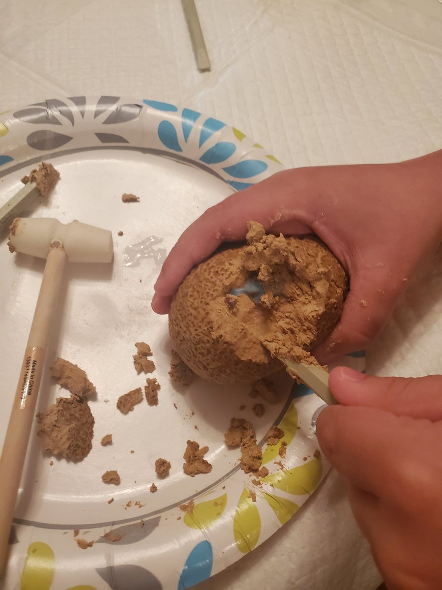 Great zoom with kindergarten! We read a story about a pet dinosaur, did some excavating and got to meet a T-Rex!@barronknights <a href="/HamptonCSchools/">Hampton City Schools</a>