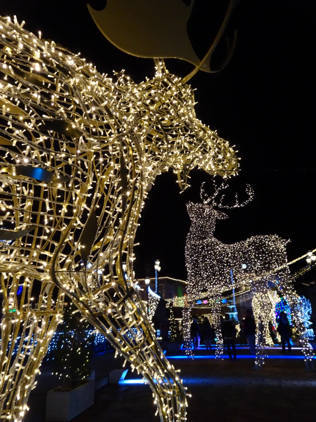 @S660501SW めっちゃ地元民です！ 私もしばらく行ってませんでしたがイルミネーション期間にまた遊びに行くようになりました。 