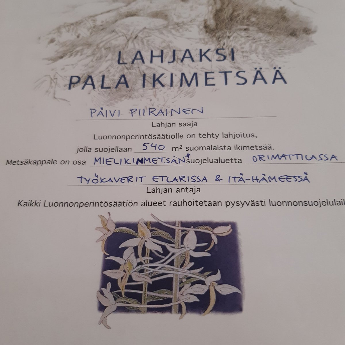 Sain iki-ihanilta työkavereiltani lahjaksi palan ikimetsää. Ajattelen tätä meidän yhteisenä pienenä mutta merkityksellisenä paikkana tässä maailmassa. Olen onnesta solmussa. 
#ikimetsä #synttärilahja #mielikinmetsä #orimattila #luonnonperintösäätiö