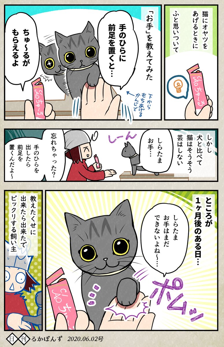 猫にお手を教えた結果、生まれたもの。

#保護猫3兄妹 #猫漫画 #コミックエッセイ #ペット漫画 