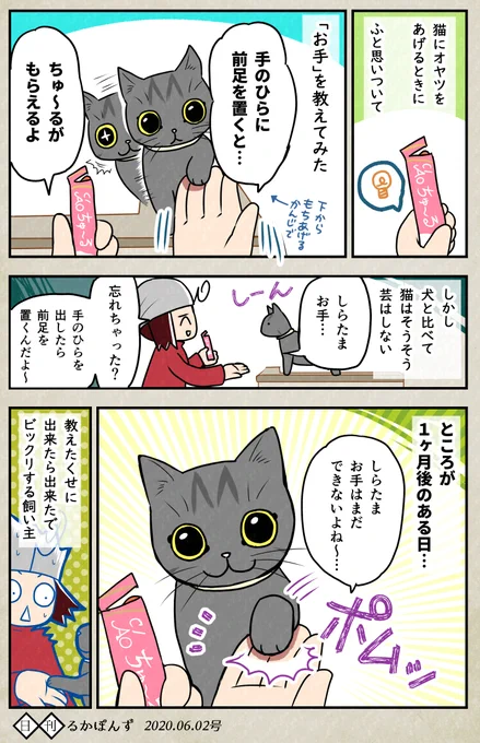 猫にお手を教えた結果、生まれたもの。

#保護猫3兄妹 #猫漫画 #コミックエッセイ #ペット漫画 