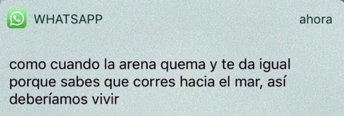 Dj Pache (@djpacheoficial) on Twitter photo 