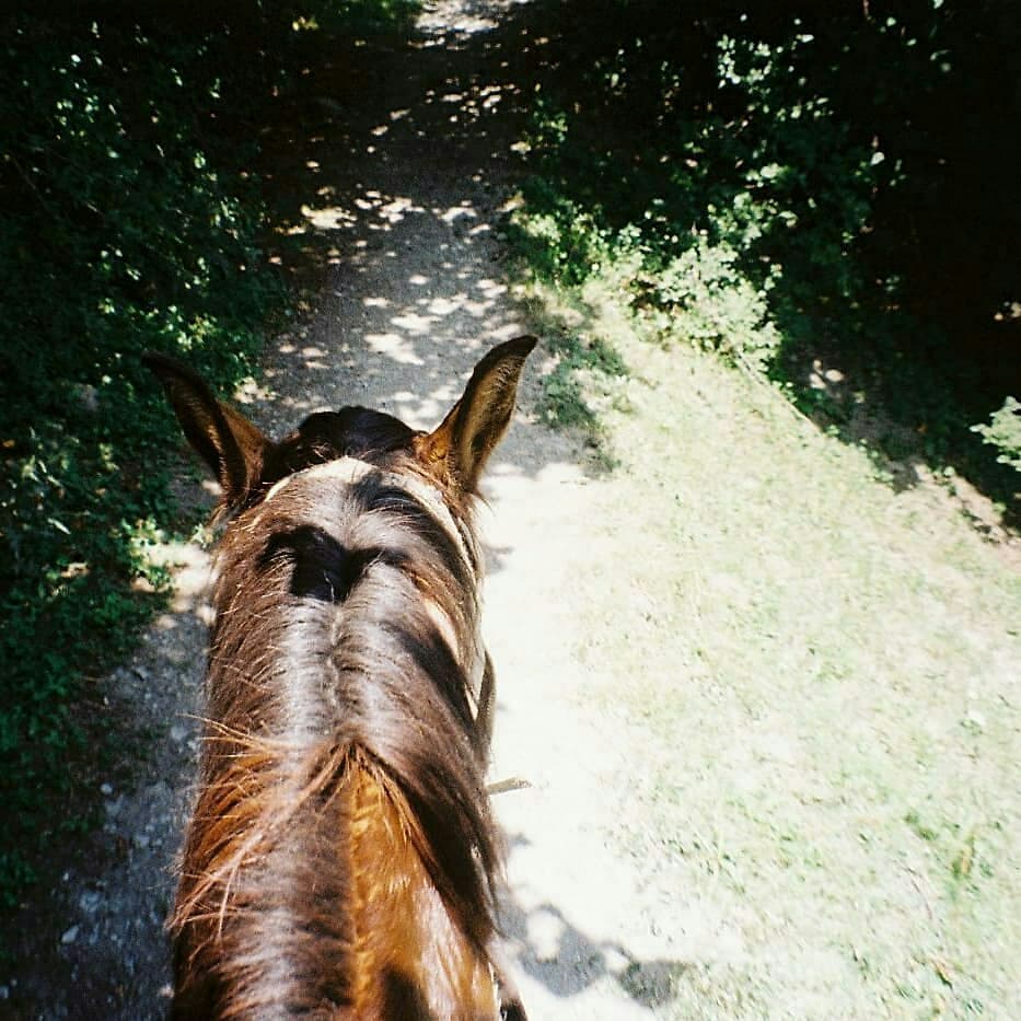 Soukaina Marhnine 🦢 tweet media