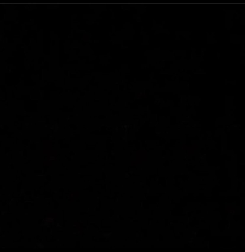 bloomglobal's tweet photo. 🖤 #blackouttuesday https://t.co/DNoXXxFCPE