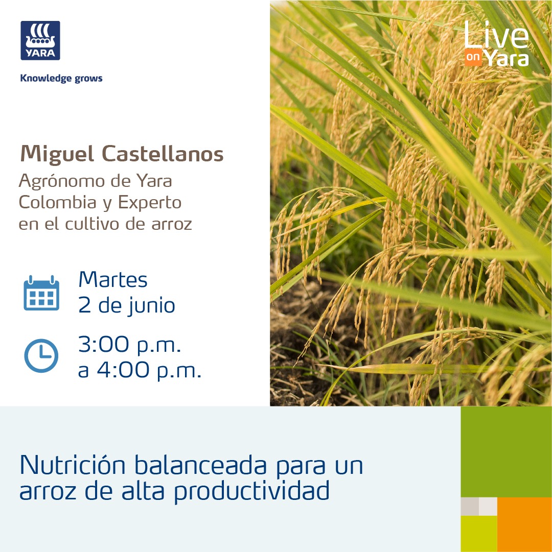 Yara_Ecuador's tweet photo. ¡No te lo pierdas!
Conéctate por este canal de Facebook de Yara Ecuador https://t.co/JujUOhIRmo