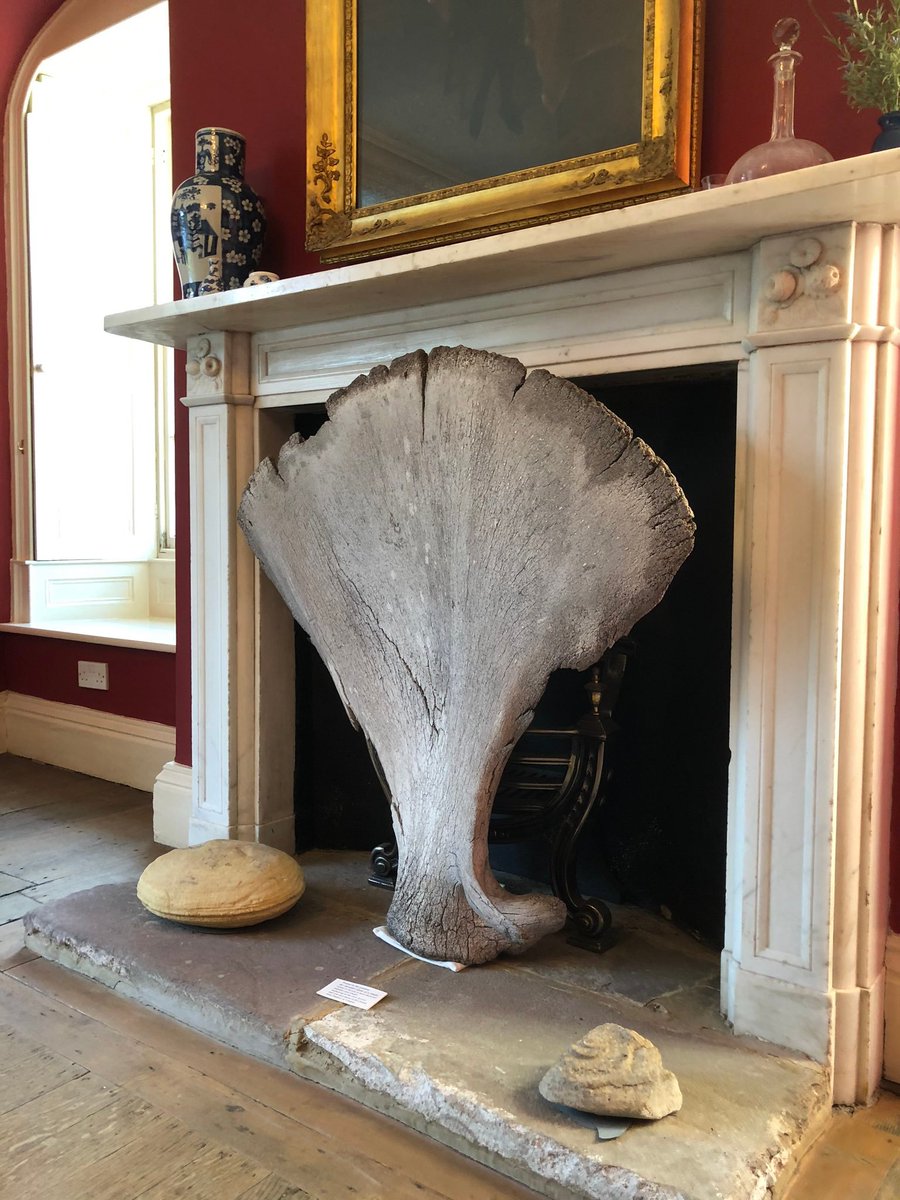 owentg's tweet photo. If you follow me but don't follow @DrJennersHouse, do please give us a follow. If I'm quiet on here, you'll probably find me there. And if you're feeling generous, we're just £598 from reaching our #ATimeForJenner fundraising target so please do pop to https://t.co/cdL6qwZHnK 🙏 https://t.co/po9QcCGP9f