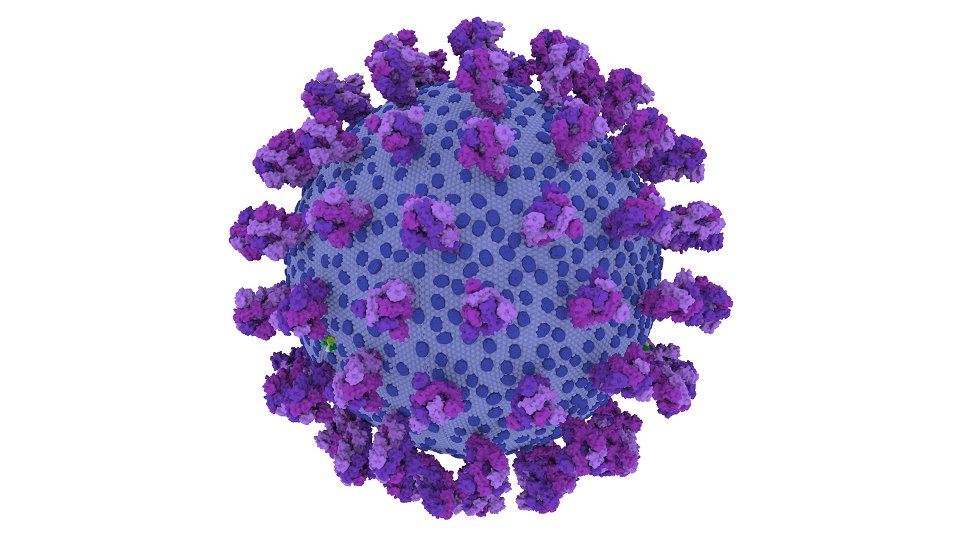 #covGlue v0.1.10
- Beautiful new #SARS_COV_2 image by @Scient_Art 
- GISAID data updated to 29/5/2020
- Lineage system updated to 19/5/2020
- Various other cosmetic improvements
cov-glue.cvr.gla.ac.uk
#hCoV19 #COVID19 <a href="/CVRbioinfo/">CVR Bioinformatics</a> <a href="/CVRinfo/">MRC-Uni of Glasgow Centre for Virus Research</a>