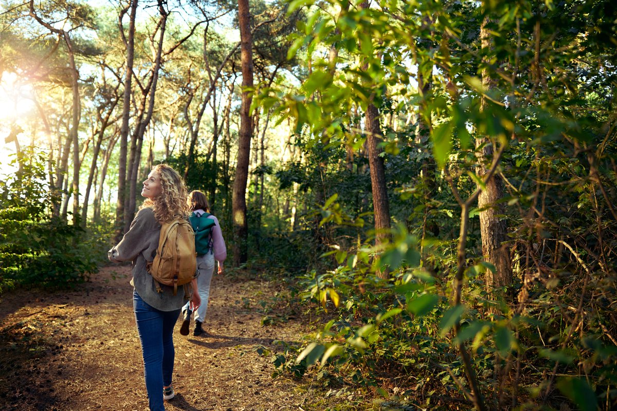 GroupePVCP's tweet image. À @centerparcsfr, nos domaines sont situés en plein cœur de la forêt, proposent des activités proches de la #nature et sont tous labellisés #ClefVerte. #TourismeDurable #MoreThanHolidays centerparcs.fr/fr-fr/co_vacan…