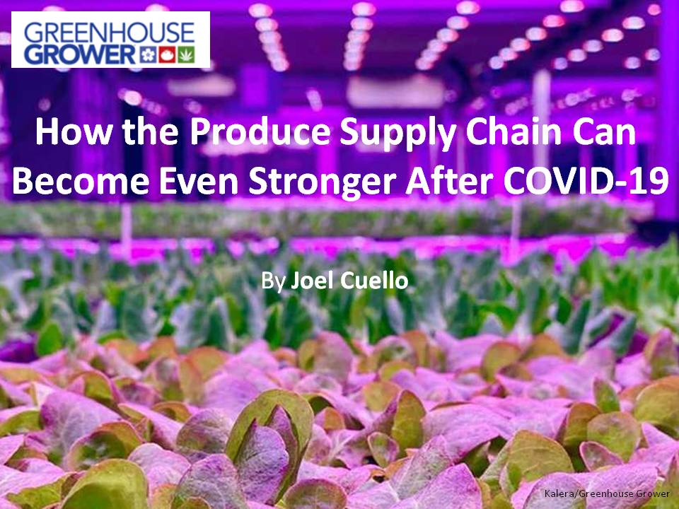 Covid-19 has emphatically underscored the need to usher the fresh-produce supply chain into the 21st century for increased resilience, inclusiveness and sustainability. greenhousegrower.com/production/how…
