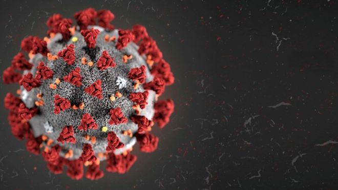 BBCGlos's tweet photo. For the 4th day in a row, zero coronavirus-related deaths have been announced in Gloucestershire's hospitals.
There have also been no positive results for Covid-19 in the county in the last 24 hours. https://t.co/EcTqA007aM