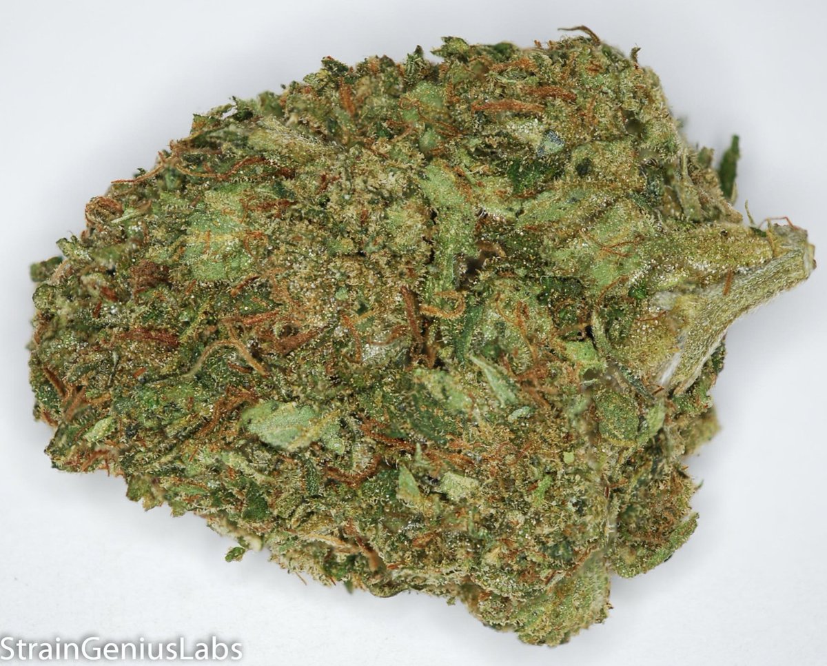 StrainGeniusLab's tweet image. Check out the SUGAR CONE we tested for Exhale Med Center THC: 21.33% CBD: 0.04% CBN: 0.08%  #MMJ