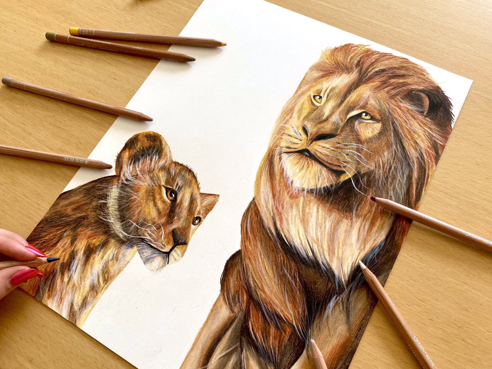 تويتر Zodoodlez على تويتر This Is A Drawing Of Simba And Mufasa From The Lion King Check Out My Youtube Video Of Me Drawing Them T Co Ckntpmtxex Art Artist Artistsontwitter