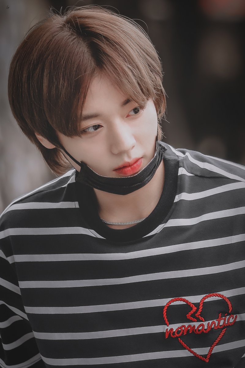 𝐥𝐮𝐦𝐢𝐧𝐨𝐮𝐬 𝐫𝐨𝐬𝐞␍ tweet media