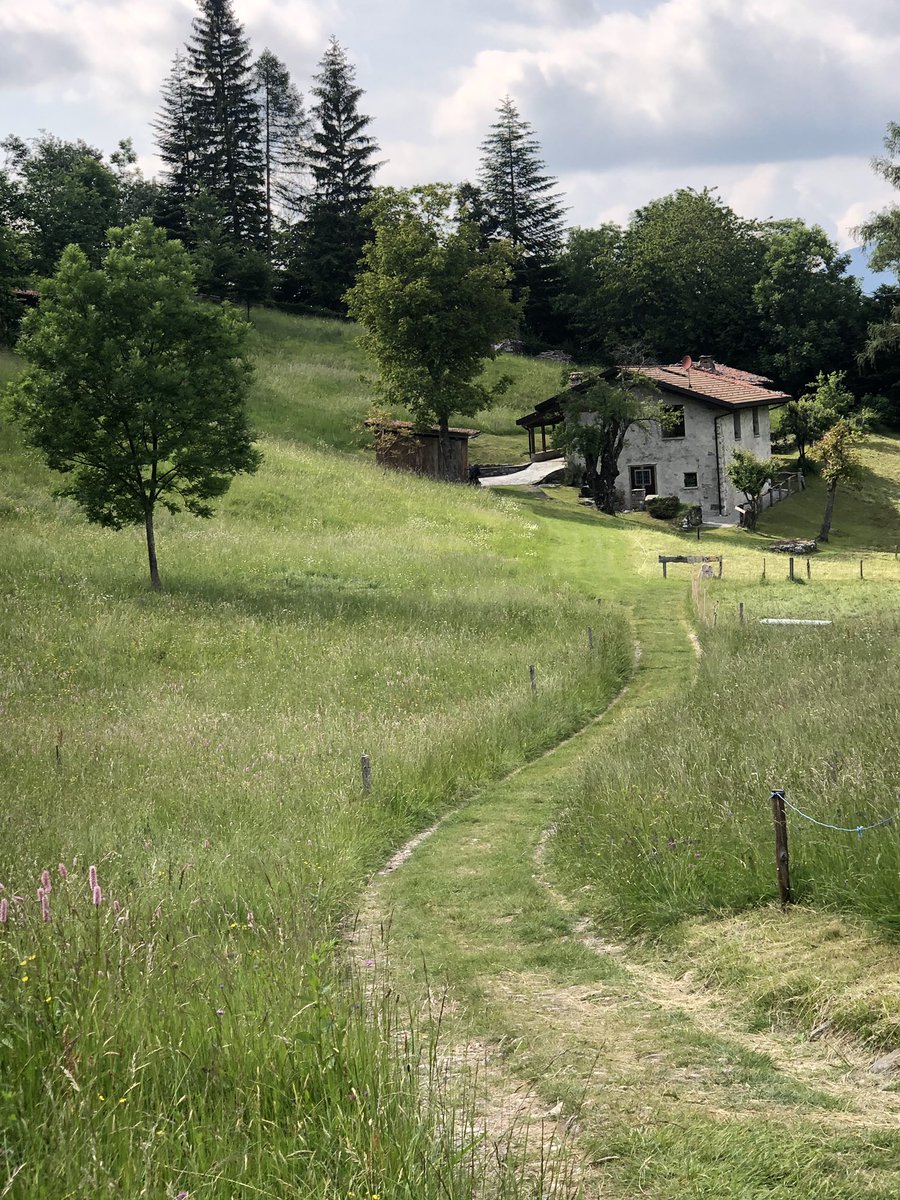_massimomauri's tweet photo. Salire, salire, e poi salire ancora. Siamo ai Prati di Nava. E ne valeva la pena. #PratidiNava #Pasturo #Grigne #Valsassina #beautifuldestinations #LagodiComo #landscapephotography @inLOMBARDIA https://t.co/t10fGEbHpS