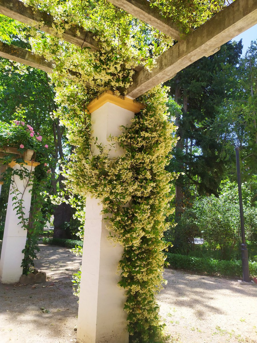 *El parque Manuel Rodríguez Penalva, se construyó a mediados del siglo XX.

 *En 1940 se le ocurrió la idea a Manuel Rodríguez Penalva, de construir en la localidad, un espacio ajardinado donde niños y mayores pudiesen pasar las horas de ocio.🍀🌾🍃💚🌈