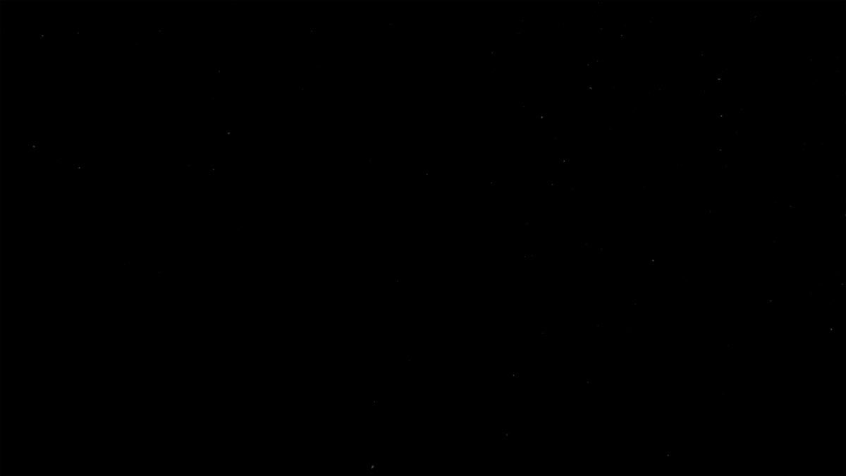 Esiste una sola razza, quella umana. #BlackOutTuesday