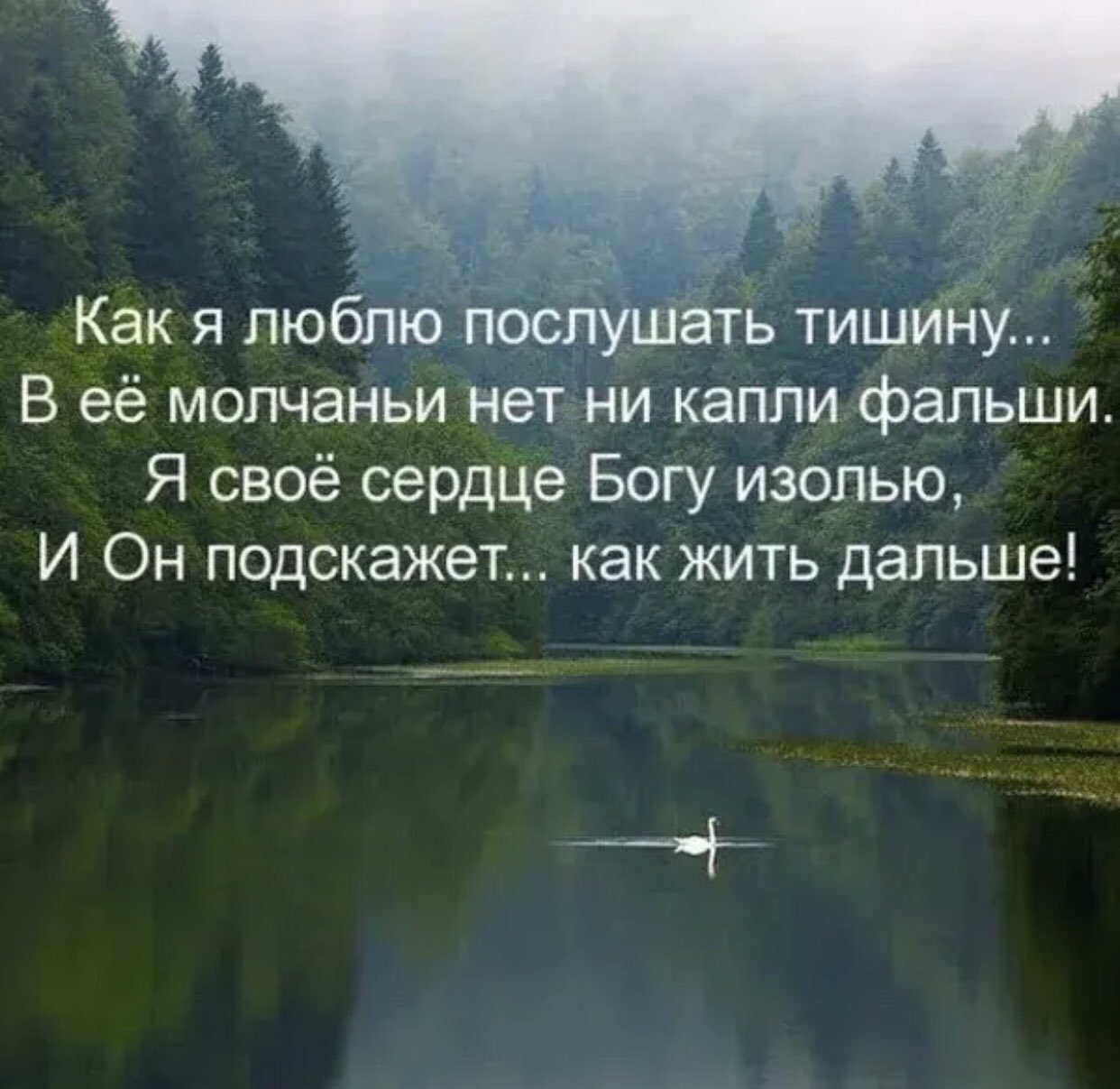 Афоризмы о природе