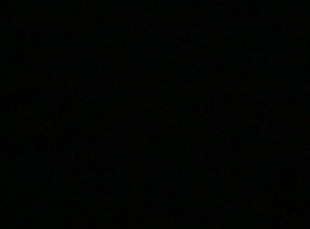 Sophie Bearden (@sophiebearden) on Twitter photo 