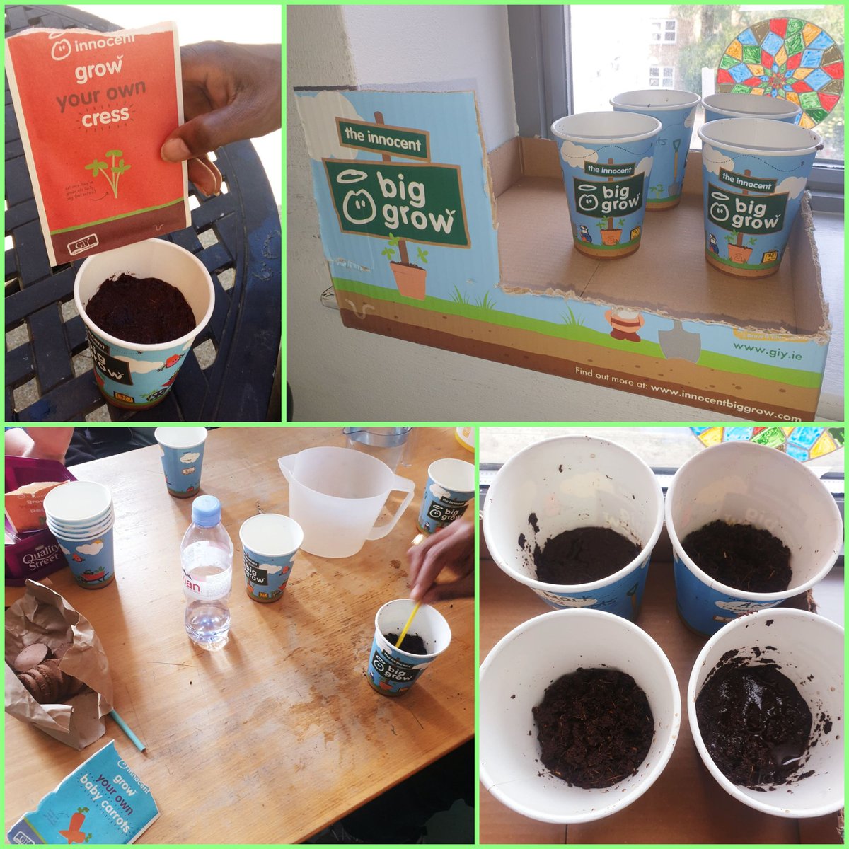 SophiaOT_'s tweet photo. We've started planting our seeds at #HeatherClose & the #LadywellUnit for #TheInnocentBigGrowπ₯πΏCan't wait to see them sprout! @innocent @giyireland @MaudsleyNHS #lewisham #biggrow #innocent #growityourself #growyourown #horticulture #gardening #mentalhealth #occupationaltherapy https://t.co/CXIAC9n0e9