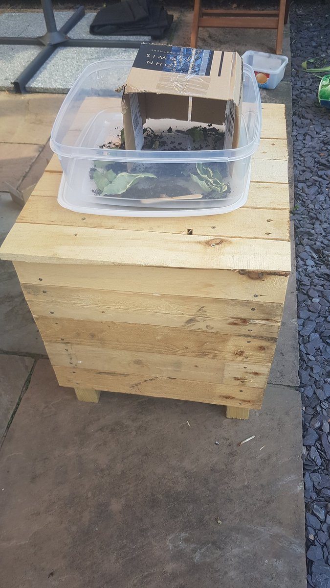 Dr Janice St. John-Matthews (DProf) tweet media