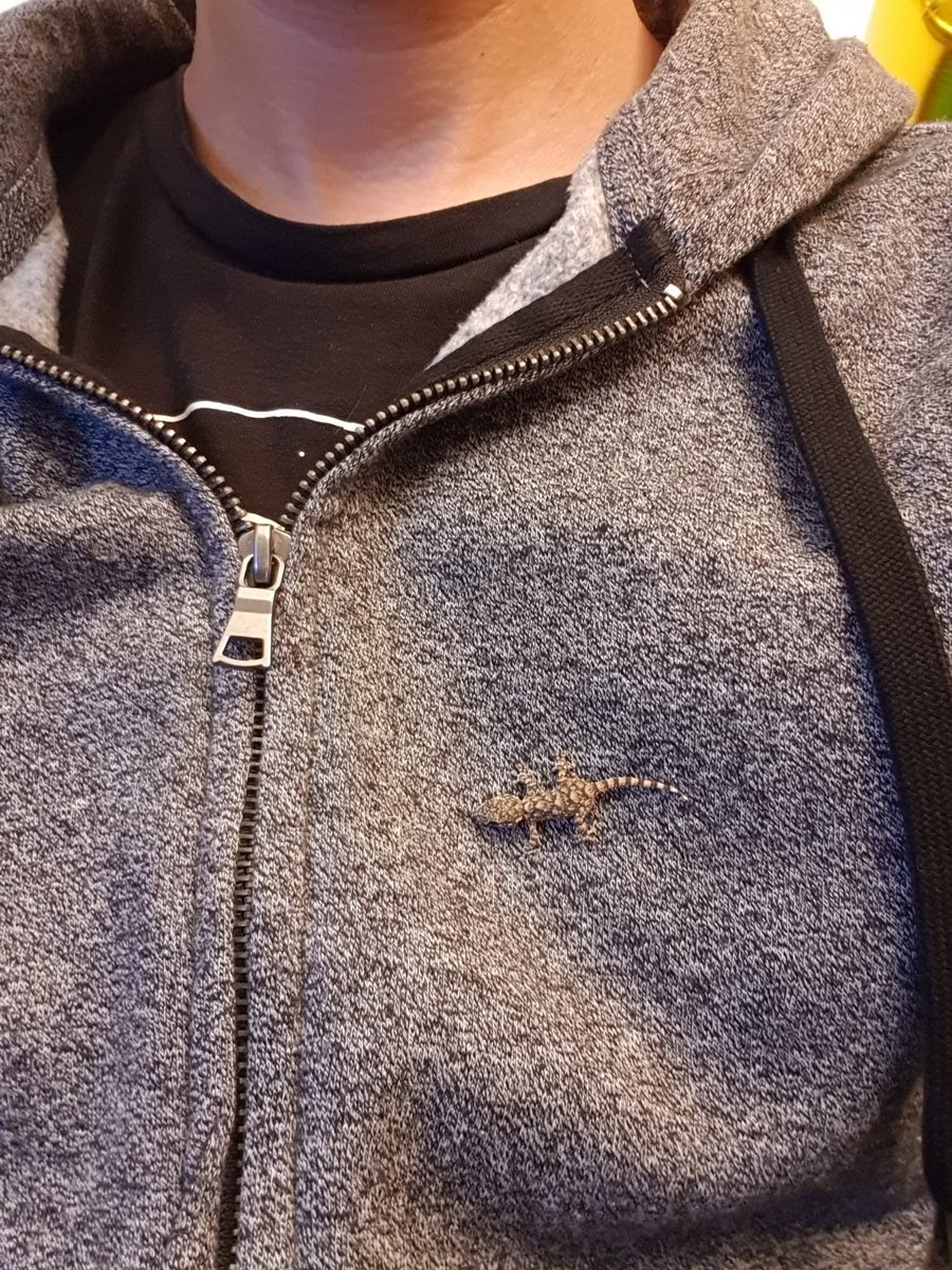 Lo bueno de vivir en el campo es que puedes convertir gratis cualquier chaqueta en una de Lacoste