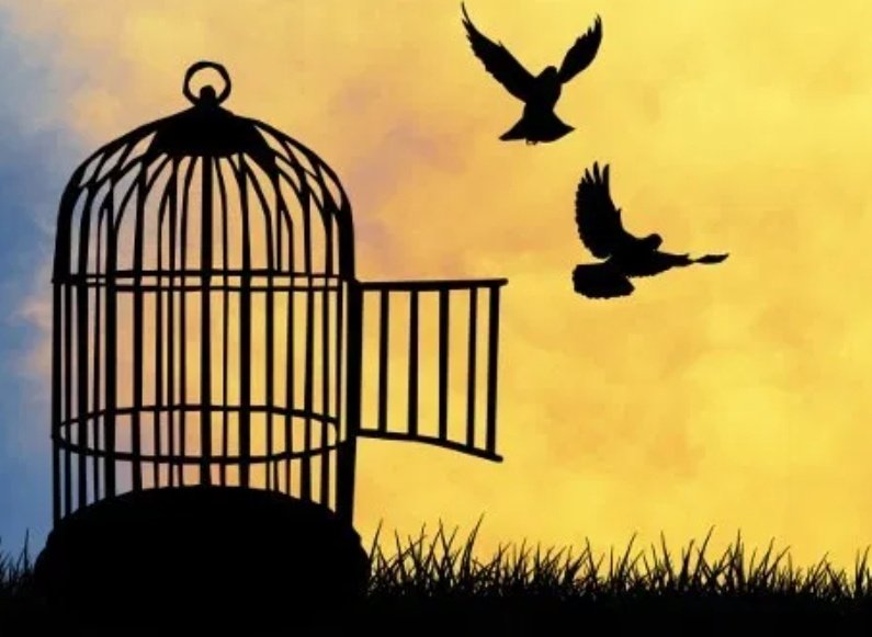 7 year old Zohra was  tortured to death by her employer for freeing birds from a cage. Time to ban #ChildLabor. Time to punish such monsters. Time to say NO to exploitation and torture if children. #JusticeForZohra #SHAME  #ChildDomesticWorkers #Pakistan